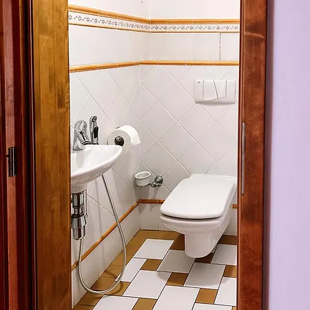 Velky Rodinny S Terasou Na Namesti V Treboni Apartment *