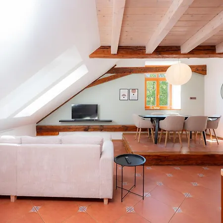 Apartment Velky Rodinny S Terasou Na Namesti V Treboni Trebon
